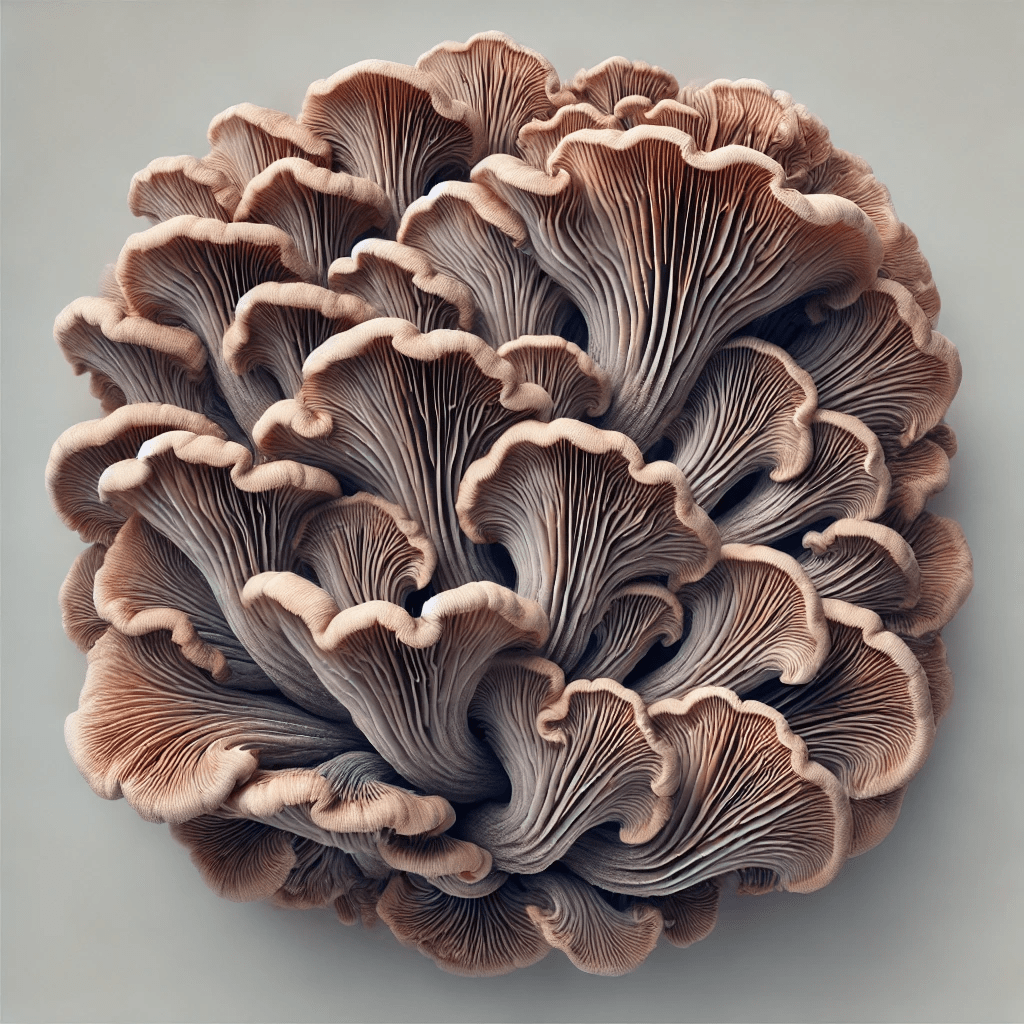 Maitake Mushroom Extract