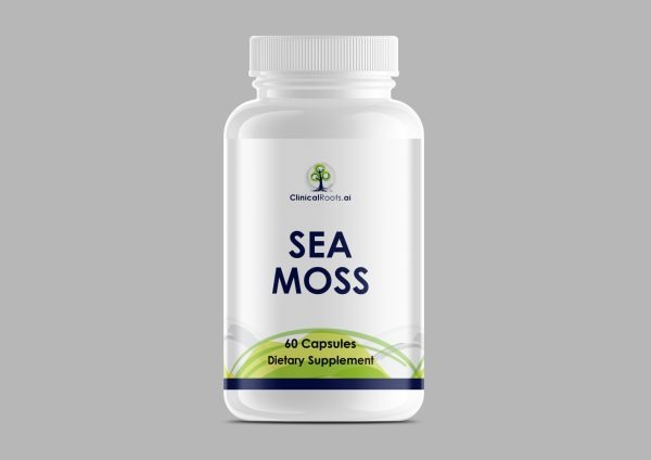 Exclusive Mockups for Branding and Packaging Design
