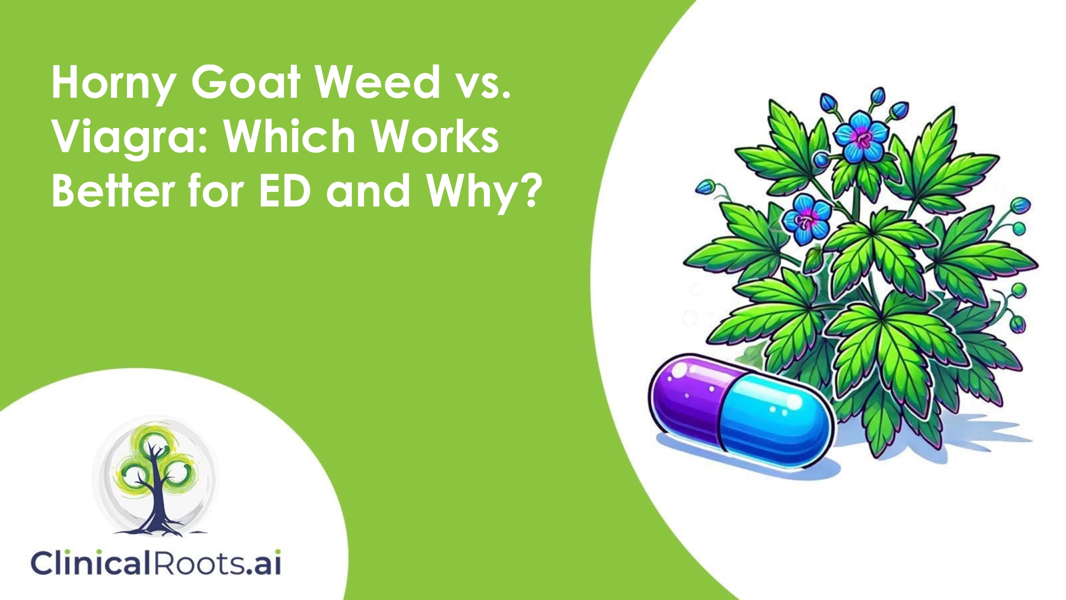 Horny Goat Weed vs. Viagra: Which Works Better for ED and Why?